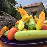 Çiftlik konaklama Agripodere Il Falco - Tuscany Nature & Relax *