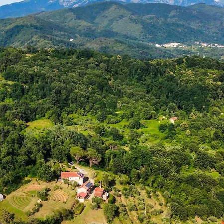 Agripodere Il Falco *