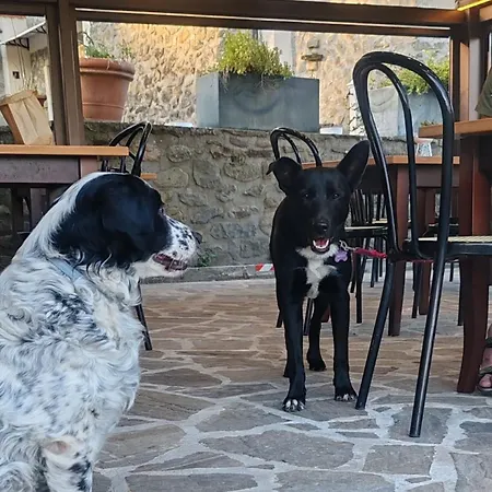 Фермерский дом Agripodere Il Falco - Tuscany Nature & Relax *